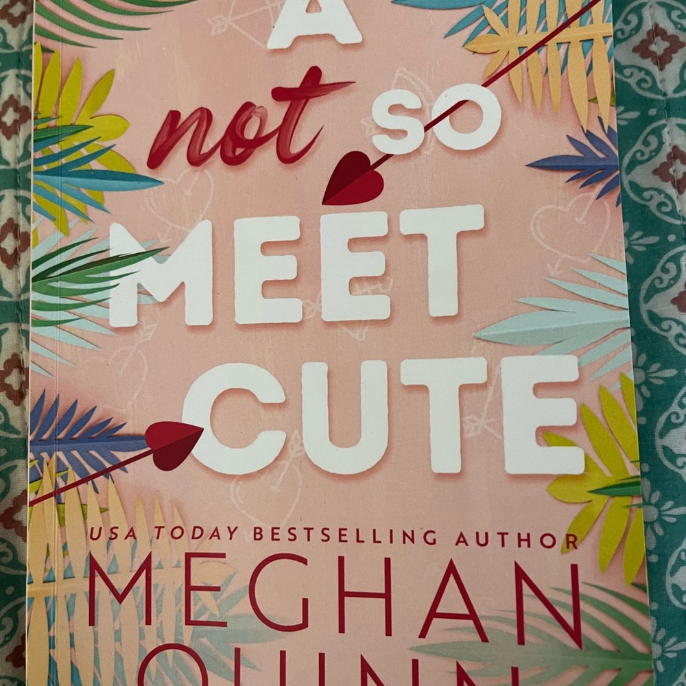 A Not So Meet Cute Book by Meghan Quinn 3 4 $12